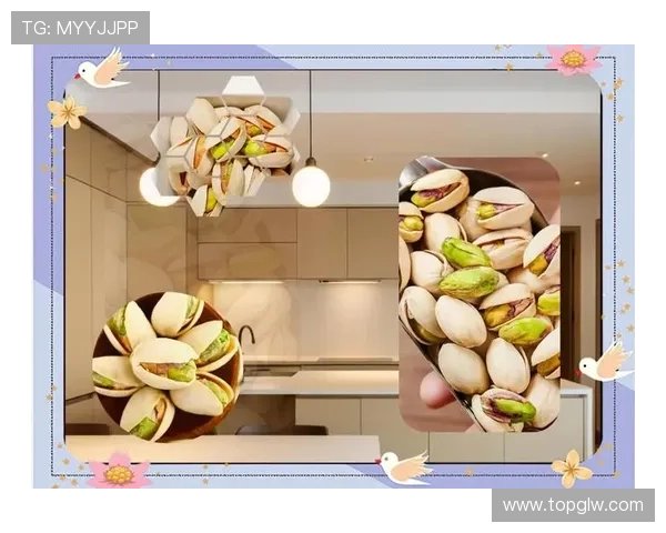 快乐elife第二集：探索生活中的小确幸与亲情的真挚温暖