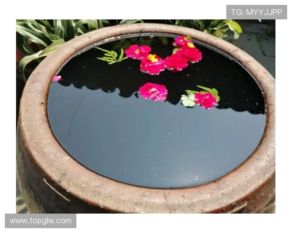 我们的存在：一场跨越时空的生命回响